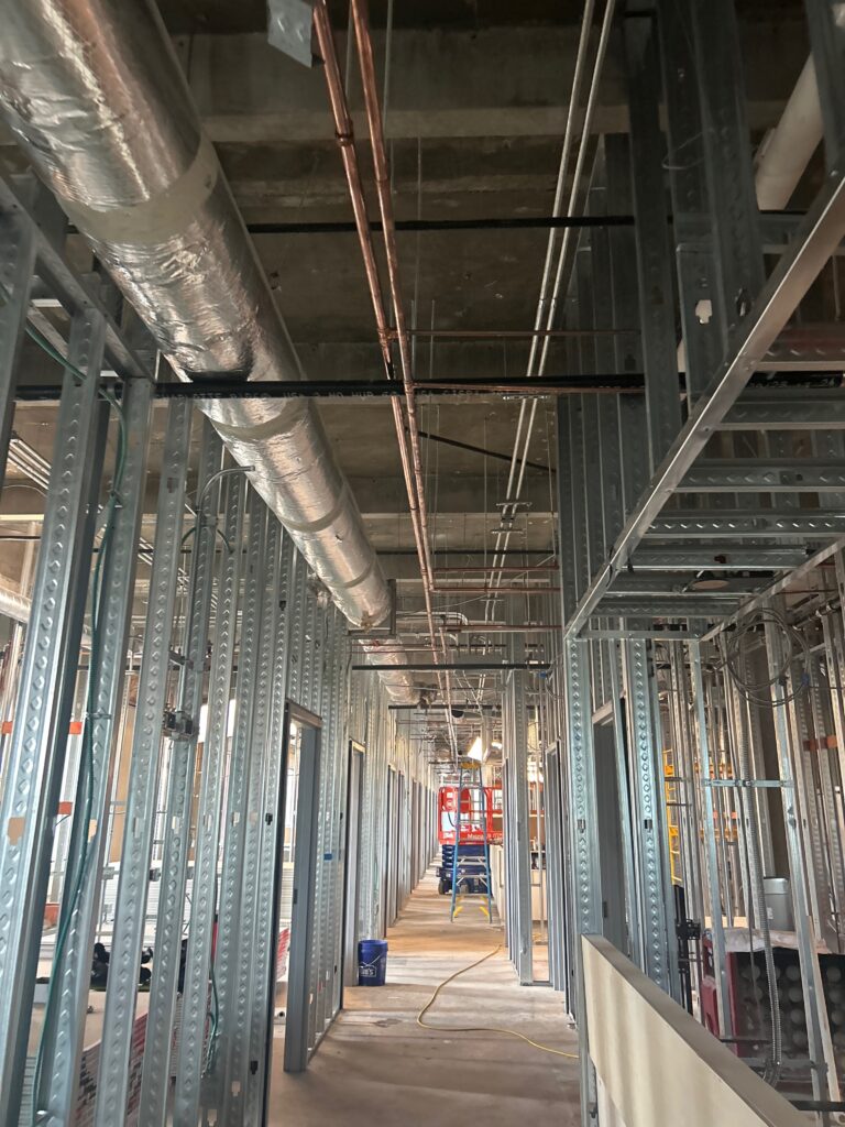 Project Name
