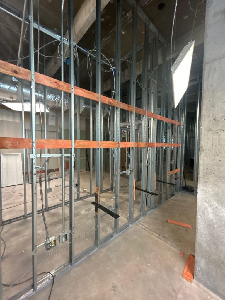 Project Name