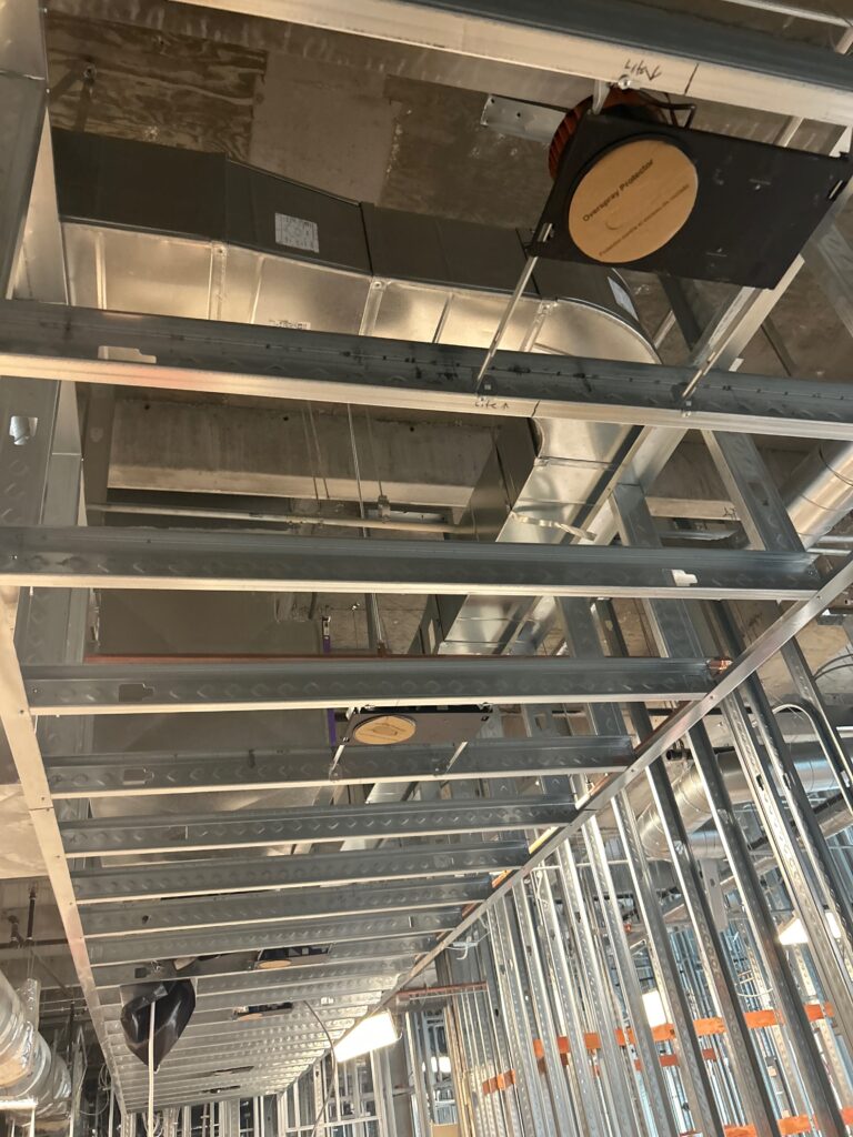 Project Name